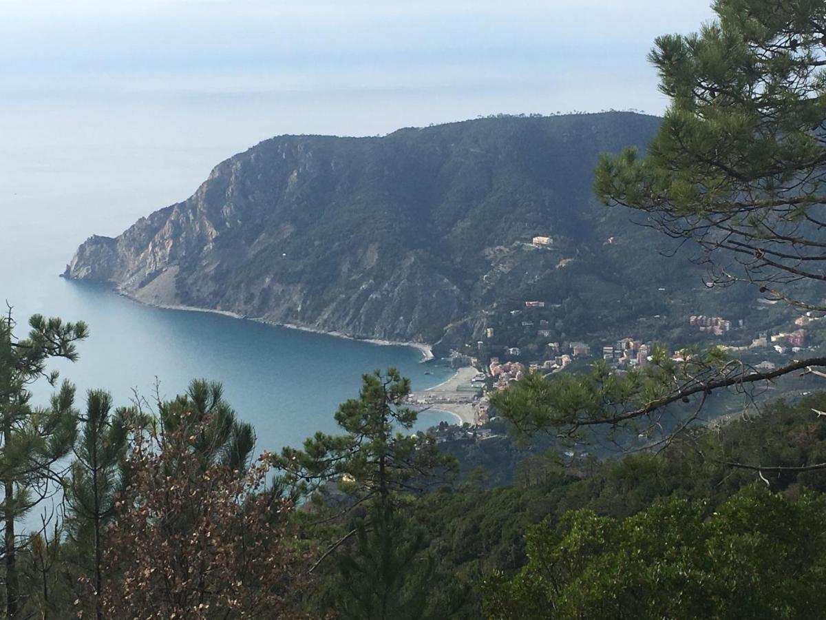 B&B Le Bouganville Lavagna Exteriör bild